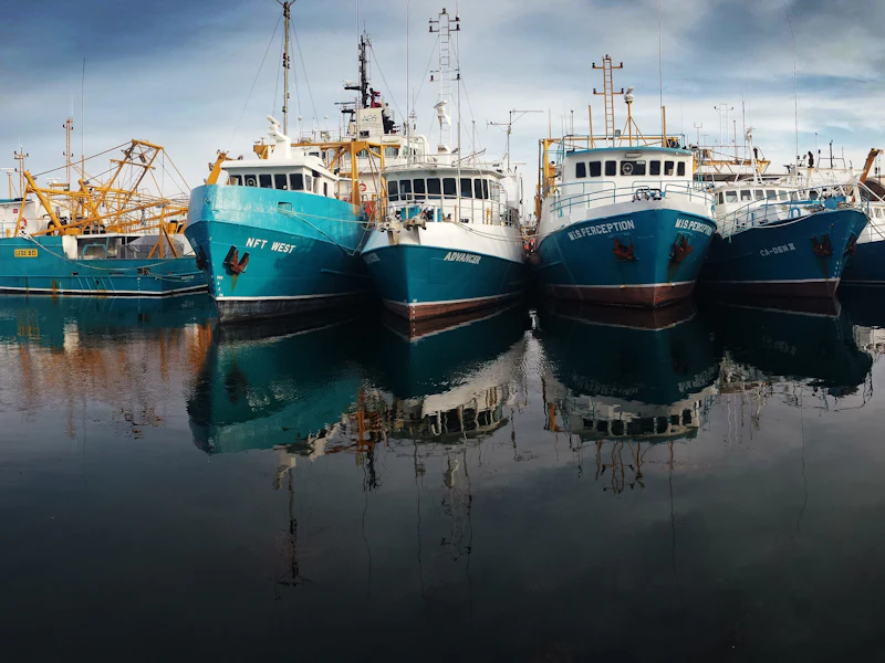 Fishing boats at the quay