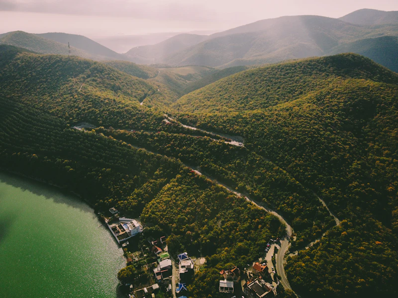 Road through a wooded valley